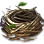 [Event] Kuku Nest