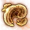 Mysterious Mesima Hypha