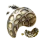 Special Dictyophora Hypha