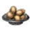[Event] Egg