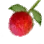 Fruit with a Sweet Scent