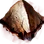 Intact Nouver's Reverse Scale