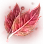 Blush Leaf