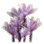 Saffron with Strong Scent