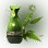 Bamboo Sap