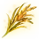 Strange and Beautiful Rice