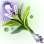 Strange and Beautiful Herb