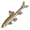 Morning River Goby