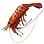 Southern Rough Shrimp