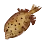 Dried Boxfish