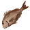 Dried Red Seabream