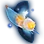 Sea Angel
