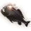 Ghost Fish