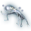 Glass Octopus