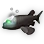 Barreleye