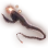Pelican Eel