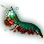 Mantis Shrimp