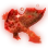 Red Handfish