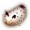 Sea Bunny