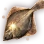Black Halibut