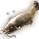Electric Catfish