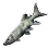 Pike Characin