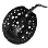 Polka-dot Stingray