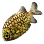 Pinecone Fish