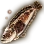 Cano Toadfish