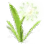 Poison Antidote Herb