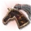 Horse Emblem: Dream Doom
