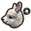 Registration: Fwuzzy Alpaca