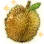 Fruit of Yianaros