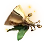 Faelight Fragment