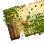 Moss-Covered Map
