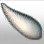 Strong Boar Horn