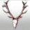 Beautiful Deer Horn