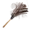 Sparse Ferri Feather Duster