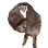 Cozy Muffler
