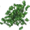 Special Herb Blend