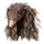 Bear Hide Cape
