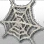 Rare Bush Spider Web