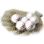 Fresh Fogan Egg