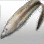 Silver Fish Skin