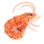 Cohen Dried Shrimp