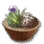 Kaia Herb Bundle