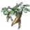 Tough Plant Root