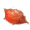 Orange Crab Shell
