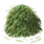 Pile of Duch Sunrise Herbs
