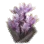 Bunch of Saffron